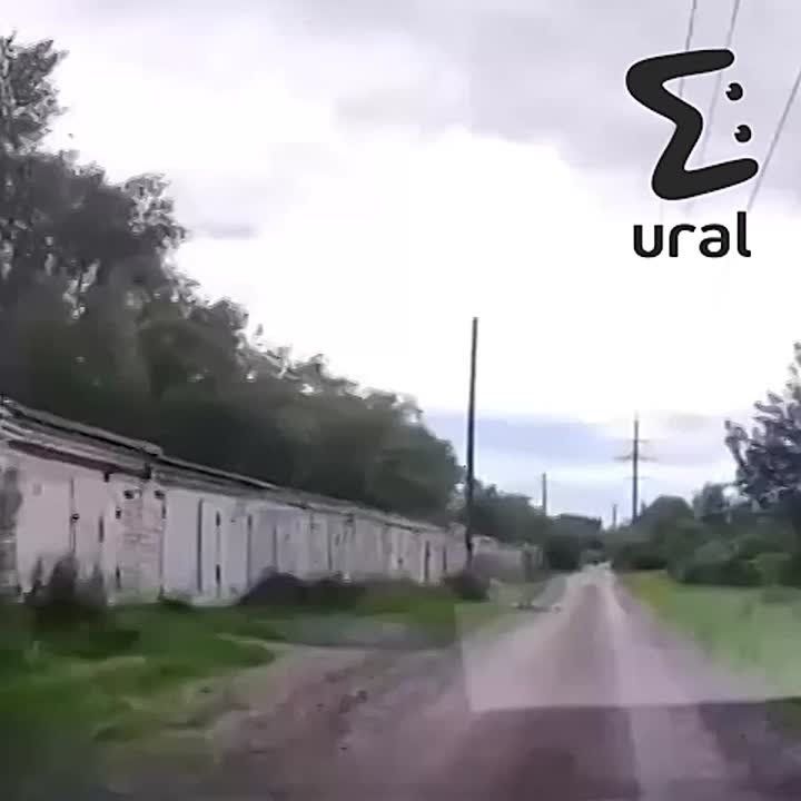  -     ,          