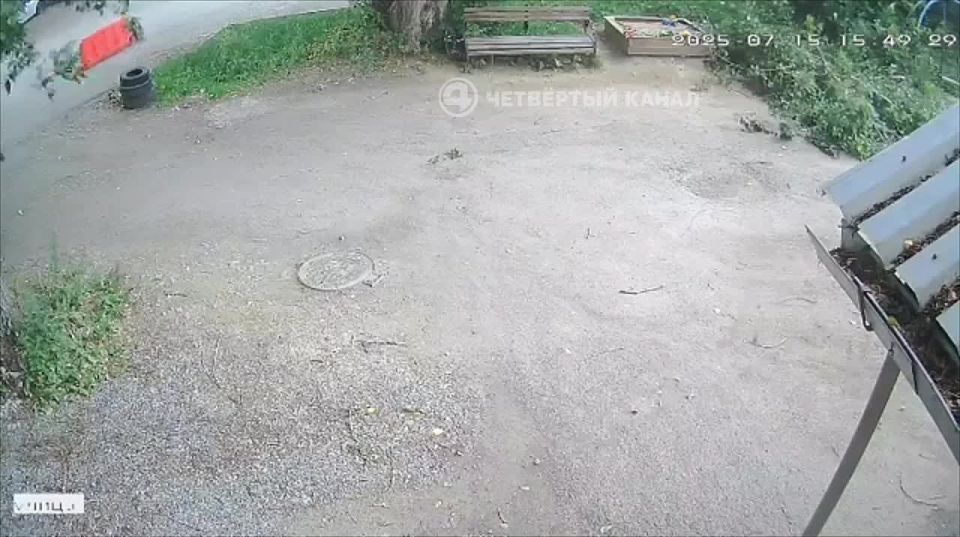         -     