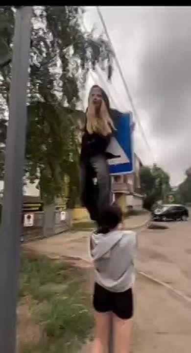  :      ,   