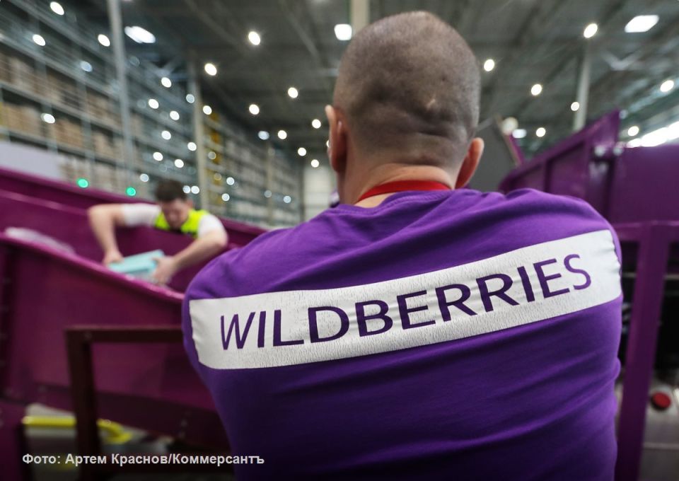      Wildberries ()              2024 