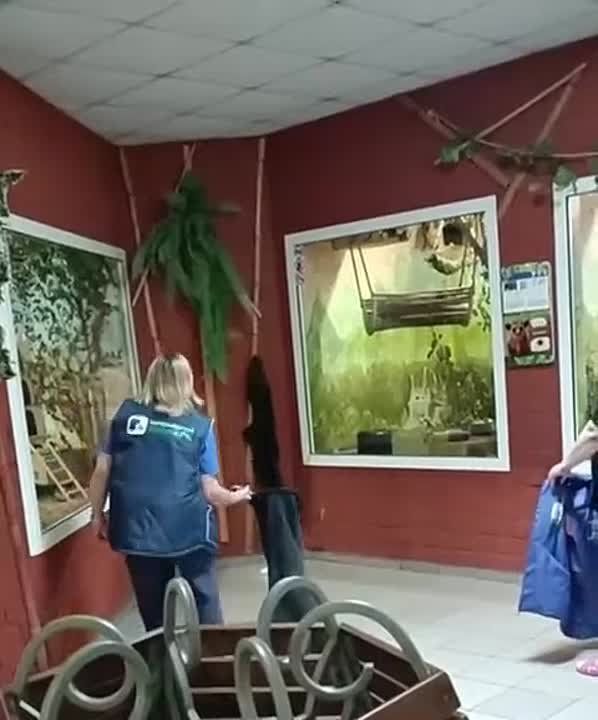     .       