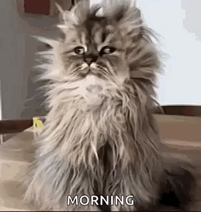  , !