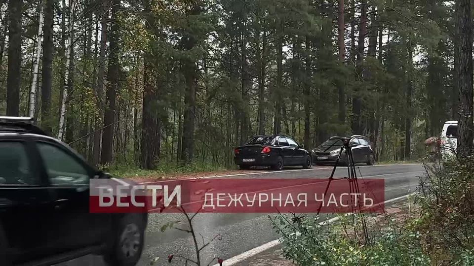    :             *