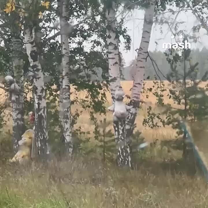 : *    *