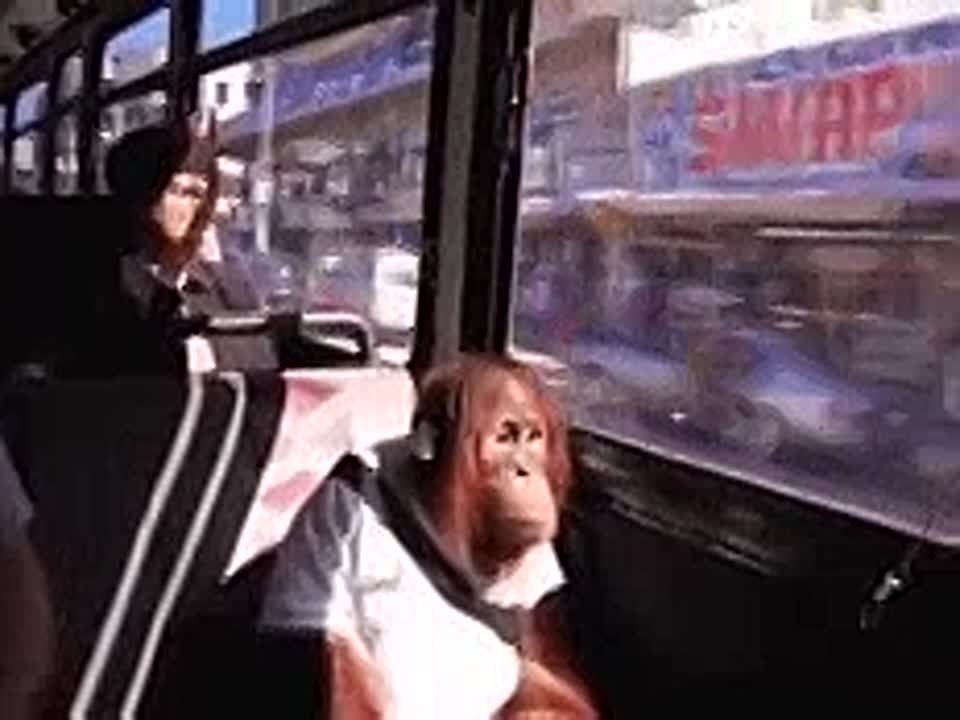 -      80  