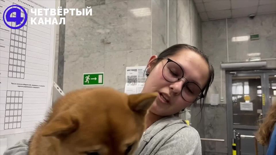  : , ,    