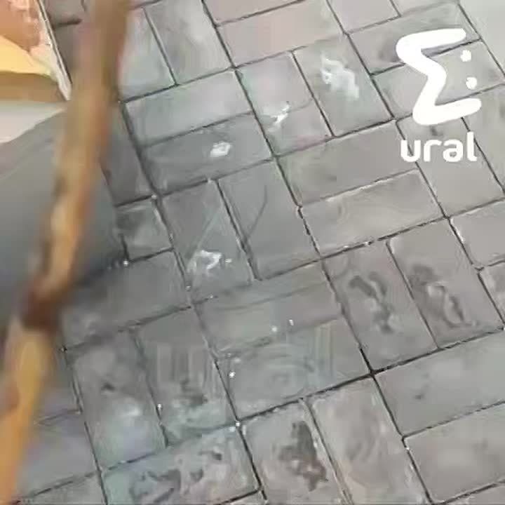  -  ,     