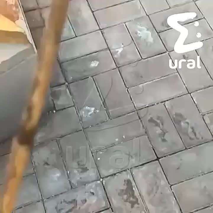          -