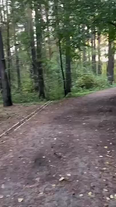   ,  ,  :          