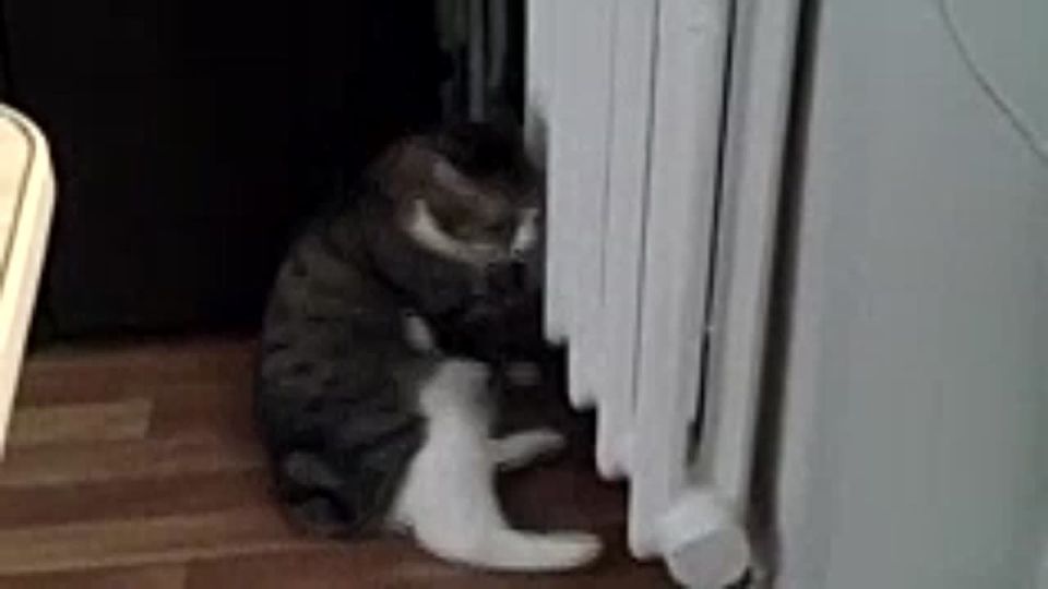     :     ?