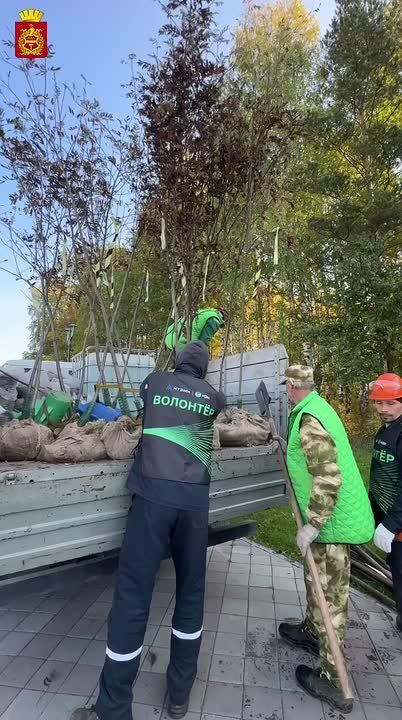  :      ,          