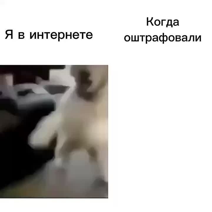 &quot;,     ,   ! :)&quot;