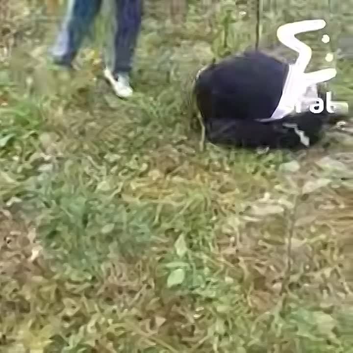   - ,      