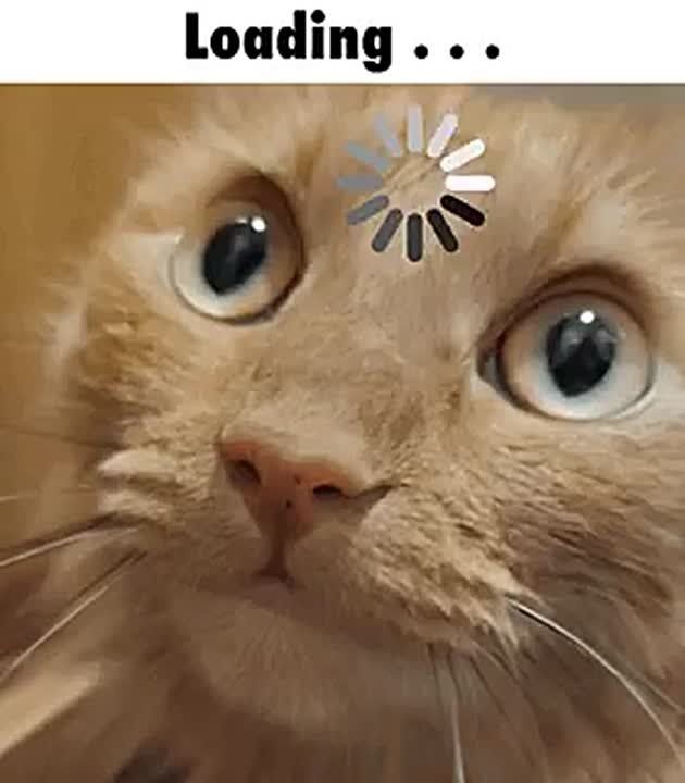     ,            ,    ,     
