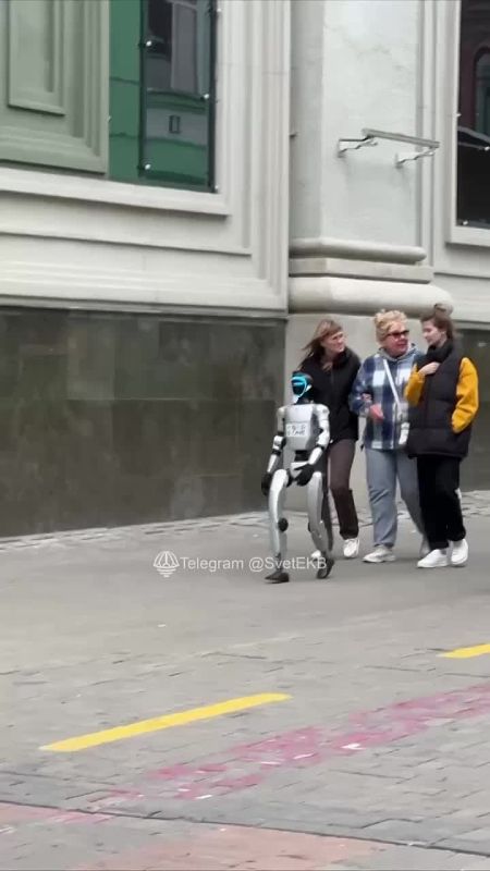    ?.     ,    