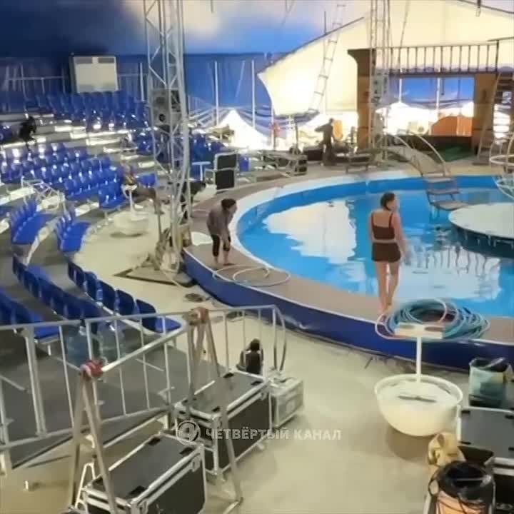     :         