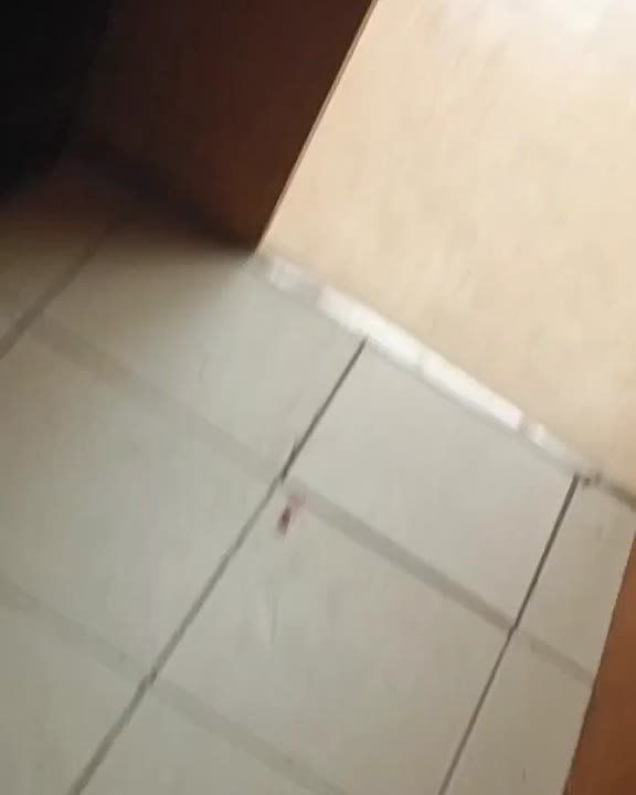     183   