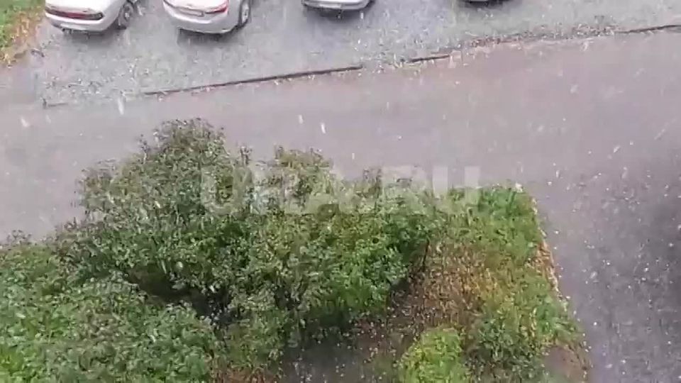    :         .