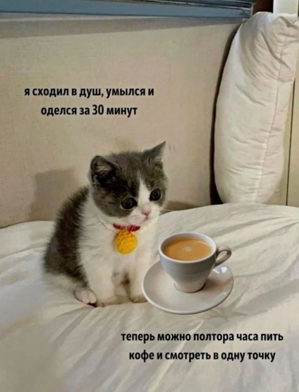   ,      ( , )    