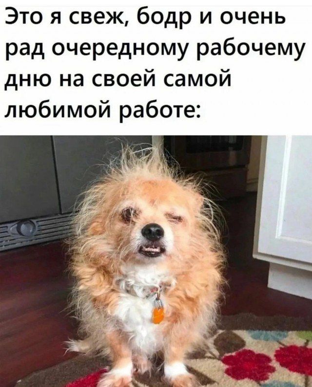  ,  !