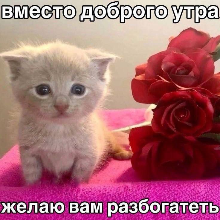  ,  !