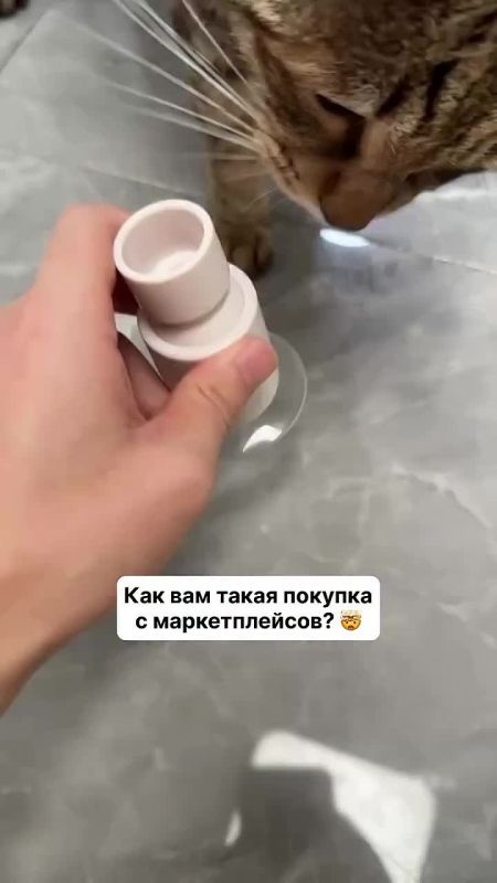    :      