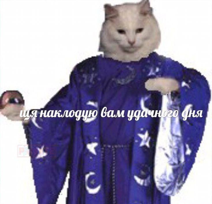  ,  !