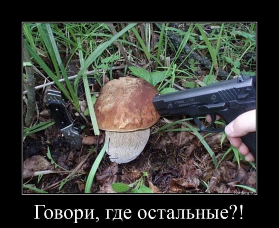 , !   !