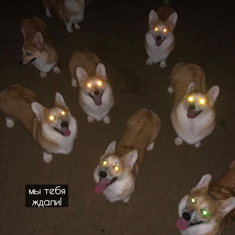      !