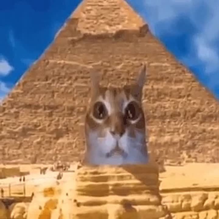  :           --