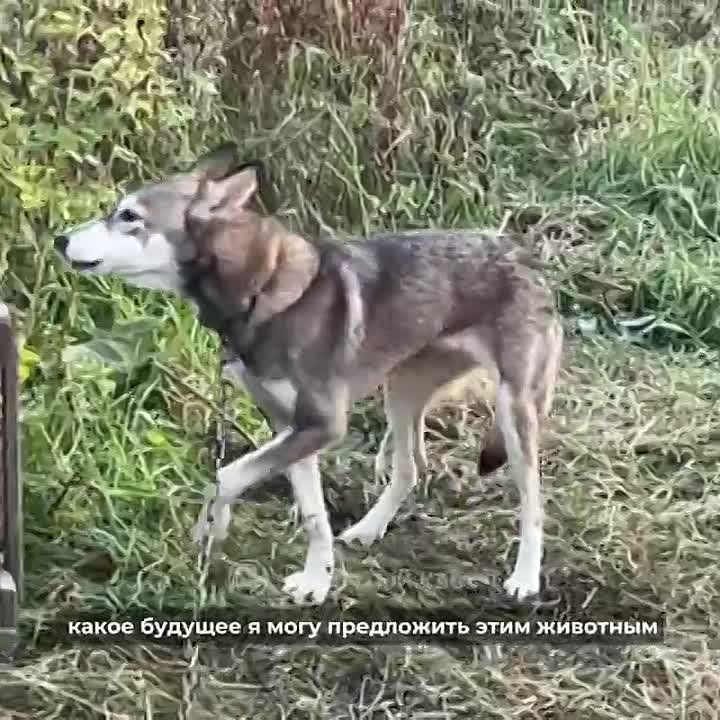     :       ,     