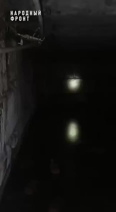     ,  :    &quot;&quot;,    
