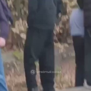        :      