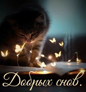  ,  !