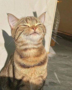     !