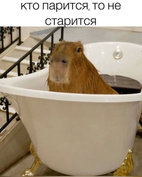    !.   ,       ,   ,      