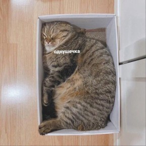        18 .  -      