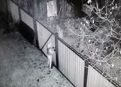         20  