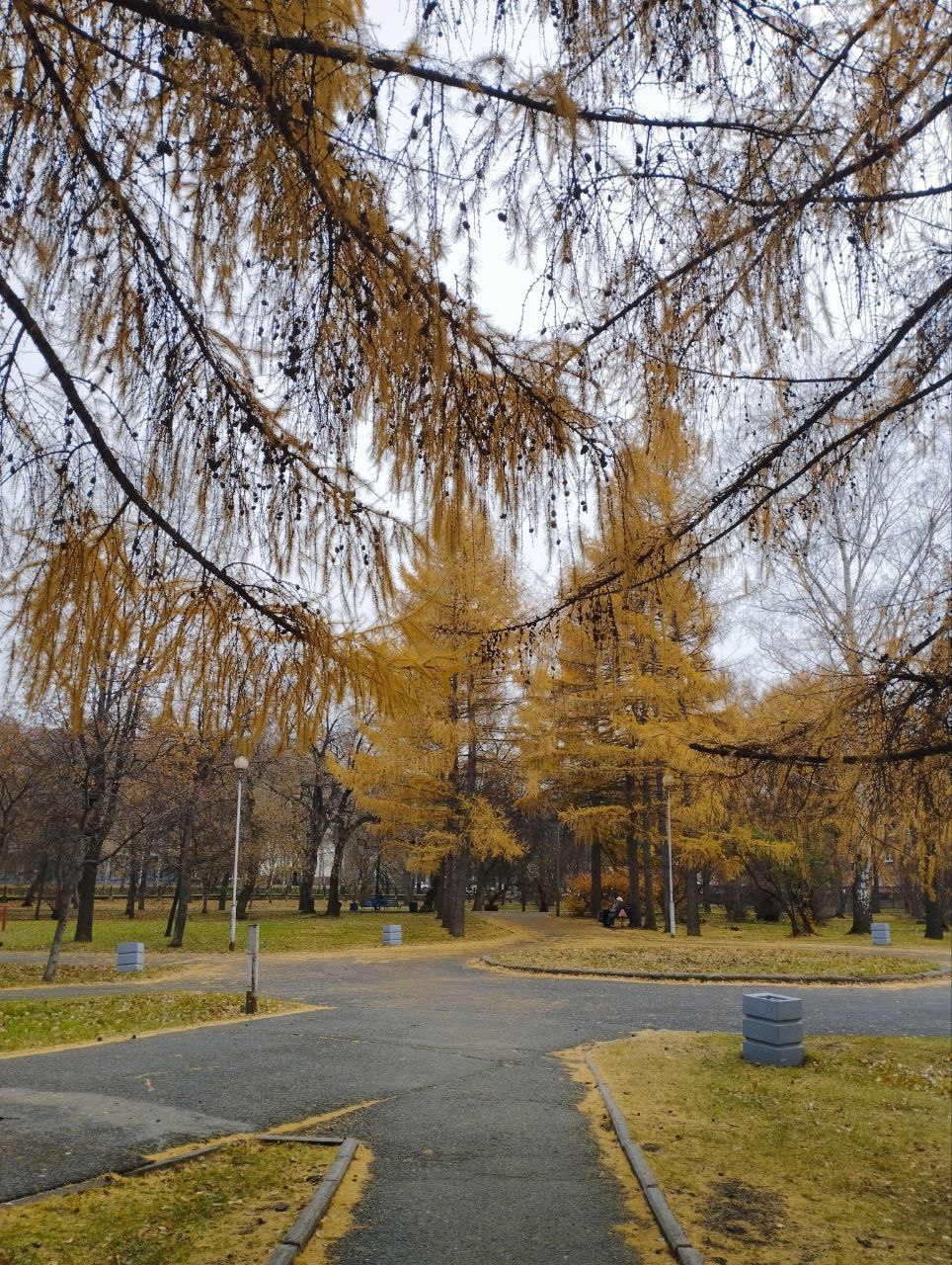 Доброе утро, #нижнийтагил