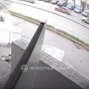 Обвинила в жестоком обращении: женщина забрала кошку у девочки-инвалида