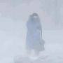 Ближайшие дни принесут уральцам переменную облачность, мокрый снег и дожди