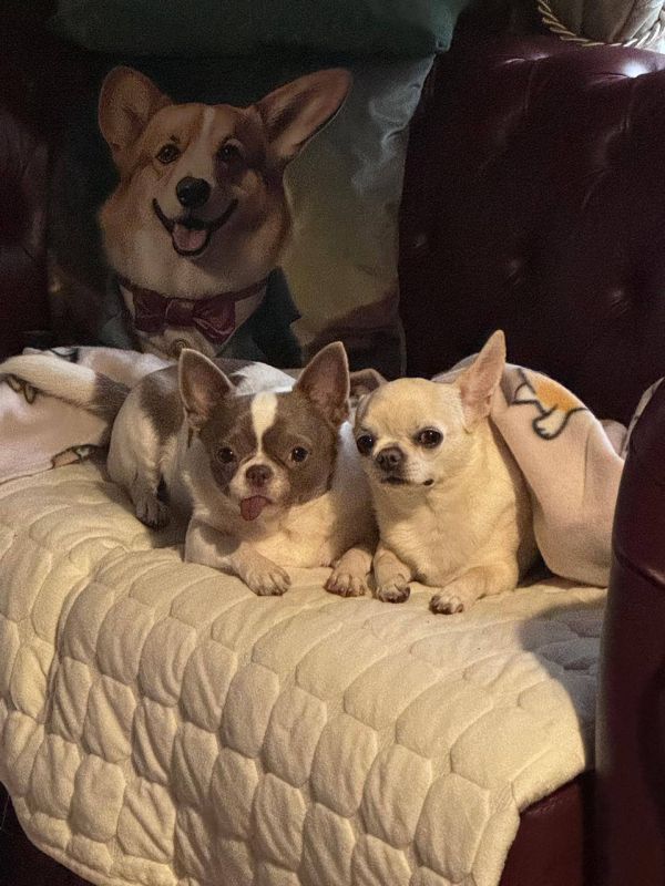 Владислав Пинаев: Доброго уютного вечера!. #выходные #семья