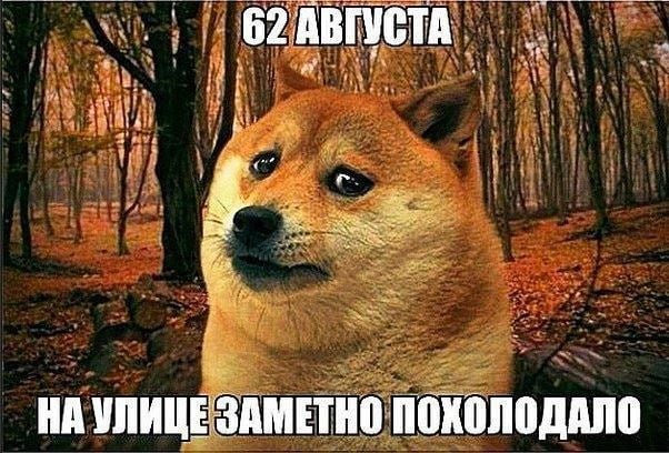 В Свердловской области потеплеет до +11 градусов