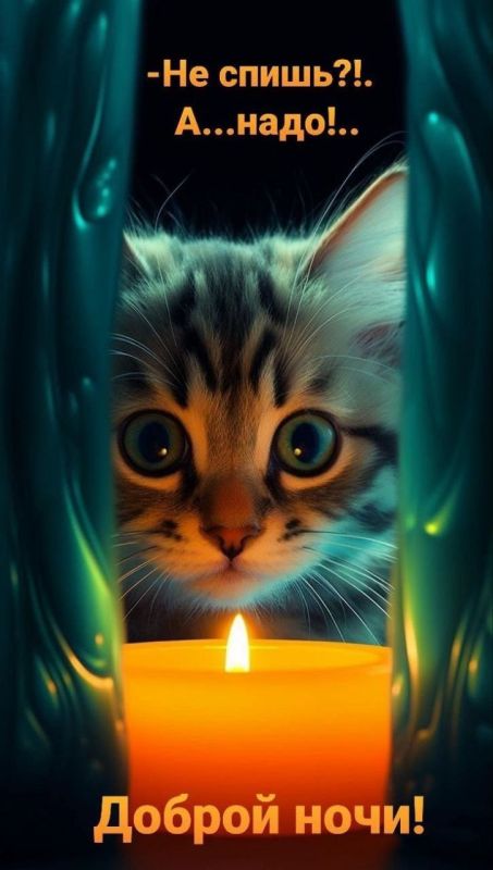 ПОДПИСАТЬСЯ | Прислать новость @Odry77