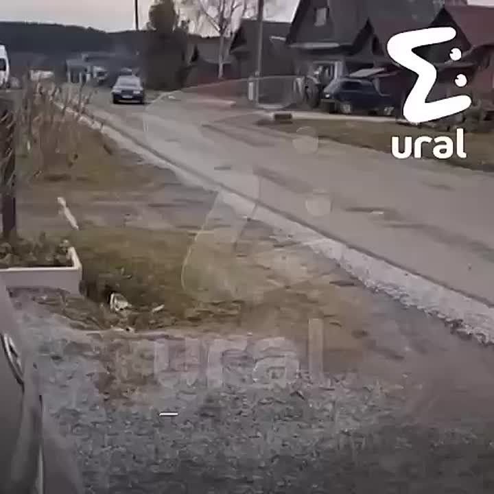 "Маленькие дети тут ходят. Несётся туда-обратно козлина"