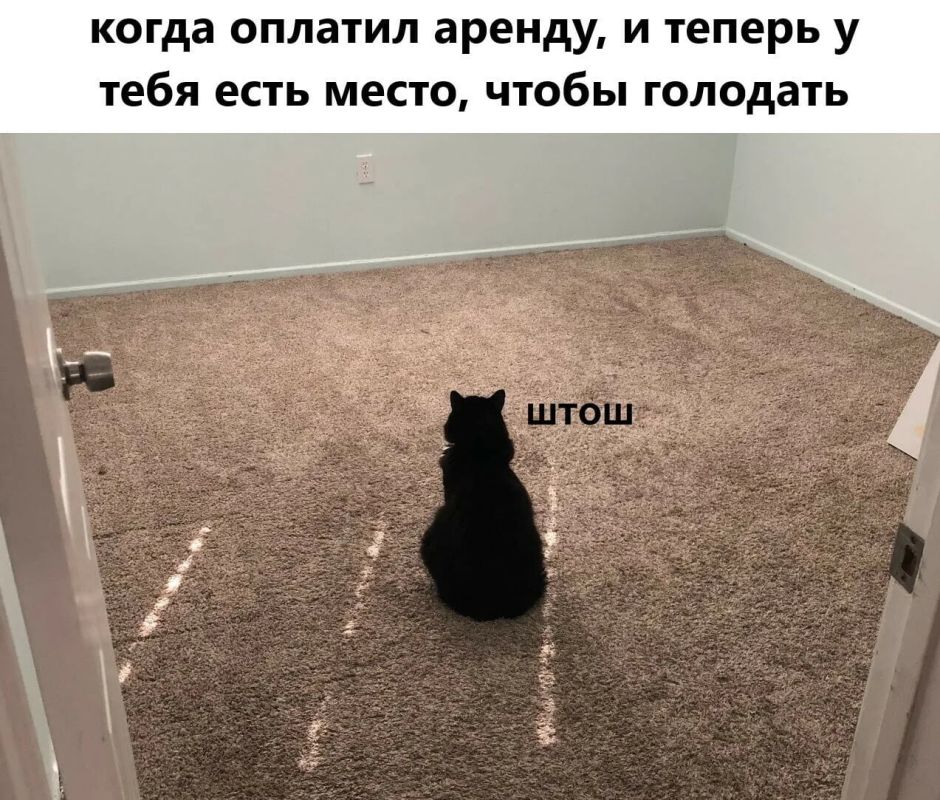 Только половина семей в Свердловской области может позволить себе арендовать жилье