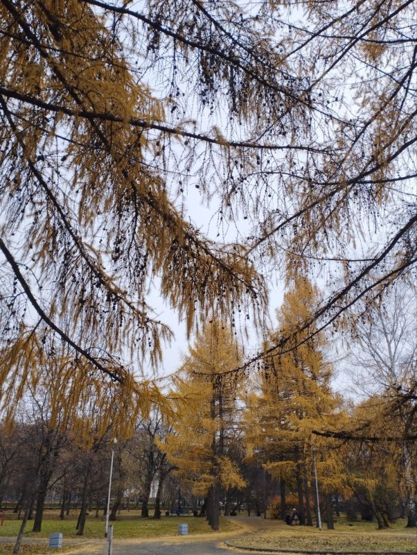 Доброе утро, #нижнийтагил