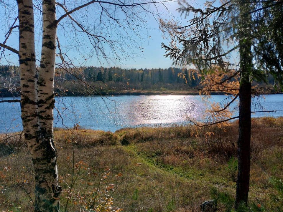 Владислав Пинаев: Доброе утро!. Нижняя Ослянка