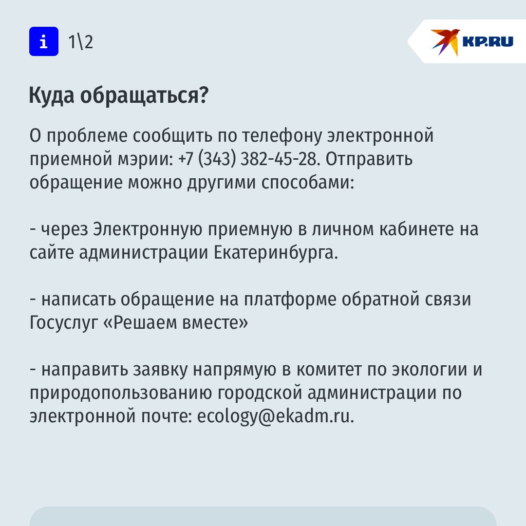 Куда обращаться, если в вашем районе обитают стаи агрессивных собак Куда обращаться, если в вашем районе обитают стаи агрессивных собак