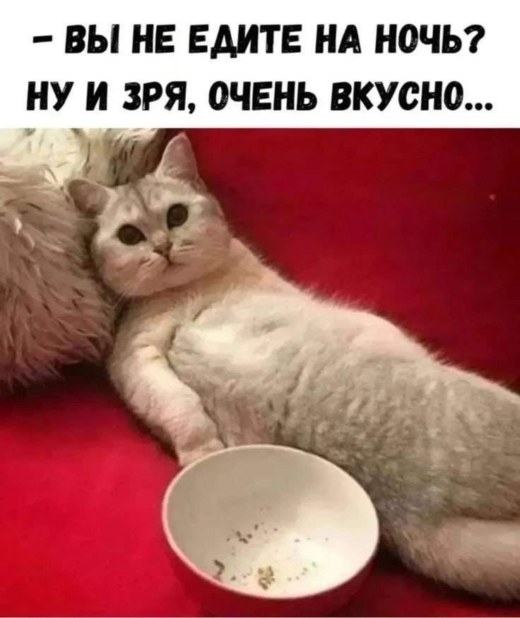 Хорошие новости: легкий перекус на ночь может помочь избавиться от бессонницы